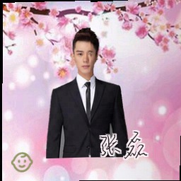 张磊
